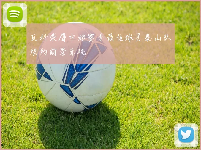 瓦科荣膺中超赛季最佳球员泰山队续约前景乐观