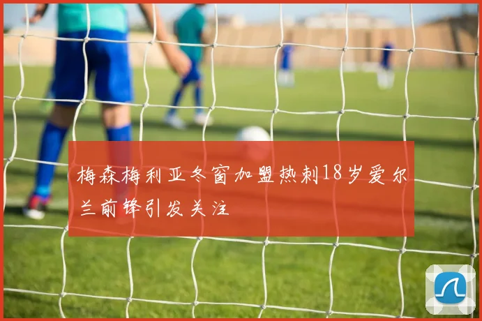 梅森梅利亚冬窗加盟热刺18岁爱尔兰前锋引发关注