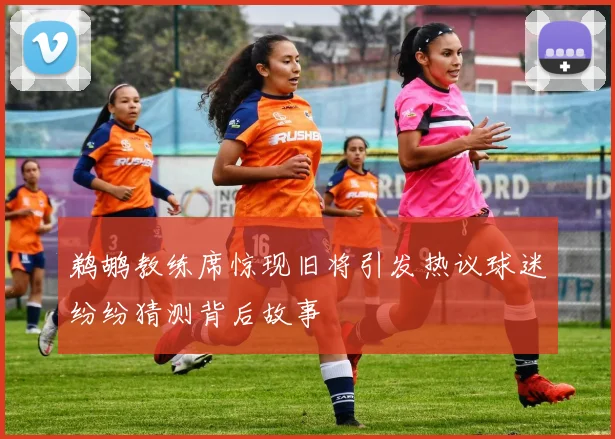 鹈鹕教练席惊现旧将引发热议球迷纷纷猜测背后故事