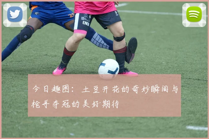 今日趣图：土豆开花的奇妙瞬间与枪手夺冠的美好期待