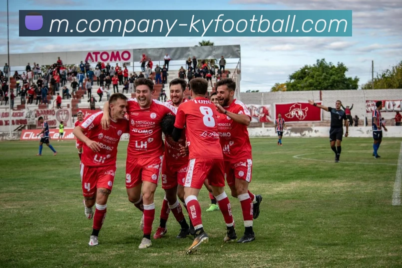 开云足球平台生态图