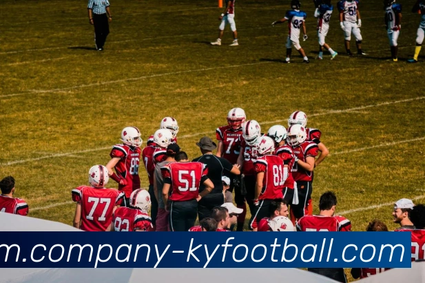 开云足球APP 封面图